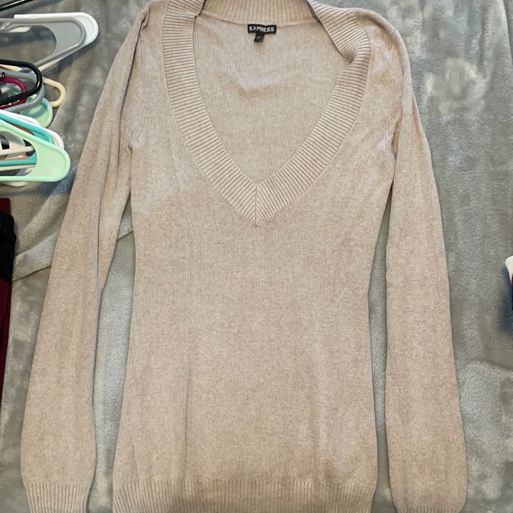 Express Long Sleeve V-Neck Sweater